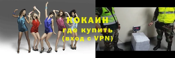 сатива Надым