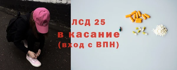 ГАЛЛЮЦИНОГЕННЫЕ ГРИБЫ Наволоки