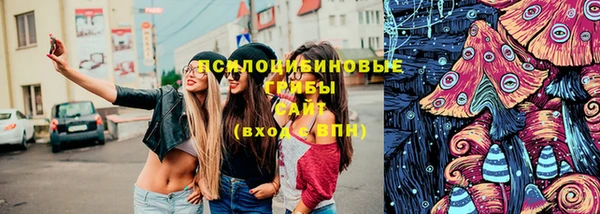 сатива Надым