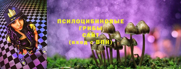 ПСИЛОЦИБИНОВЫЕ ГРИБЫ Елизово