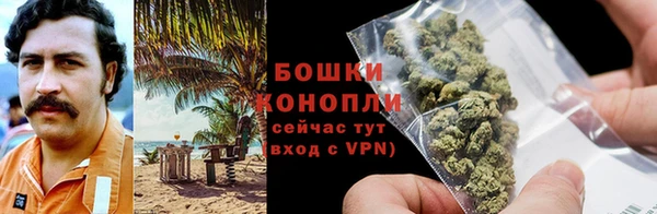 ГАЛЛЮЦИНОГЕННЫЕ ГРИБЫ Наволоки