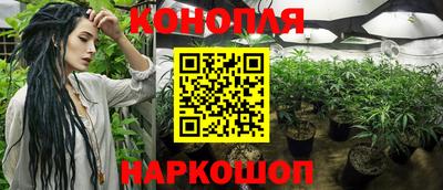 крисы Бузулук