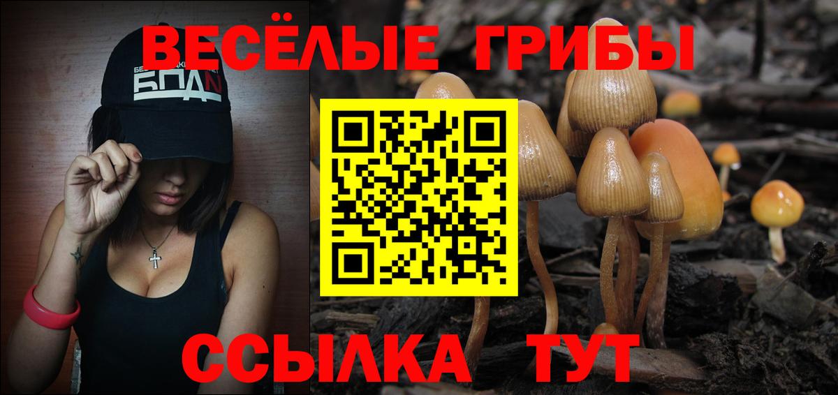 Псилоцибиновые грибы Magic Shrooms Карпинск
