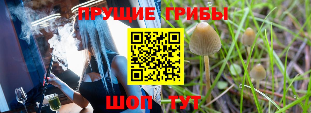 Карпинск  Псилоцибиновые грибы MAGIC MUSHROOMS  Вход с VPN  Псилоцибиновые грибы Psilocybine cubensis 